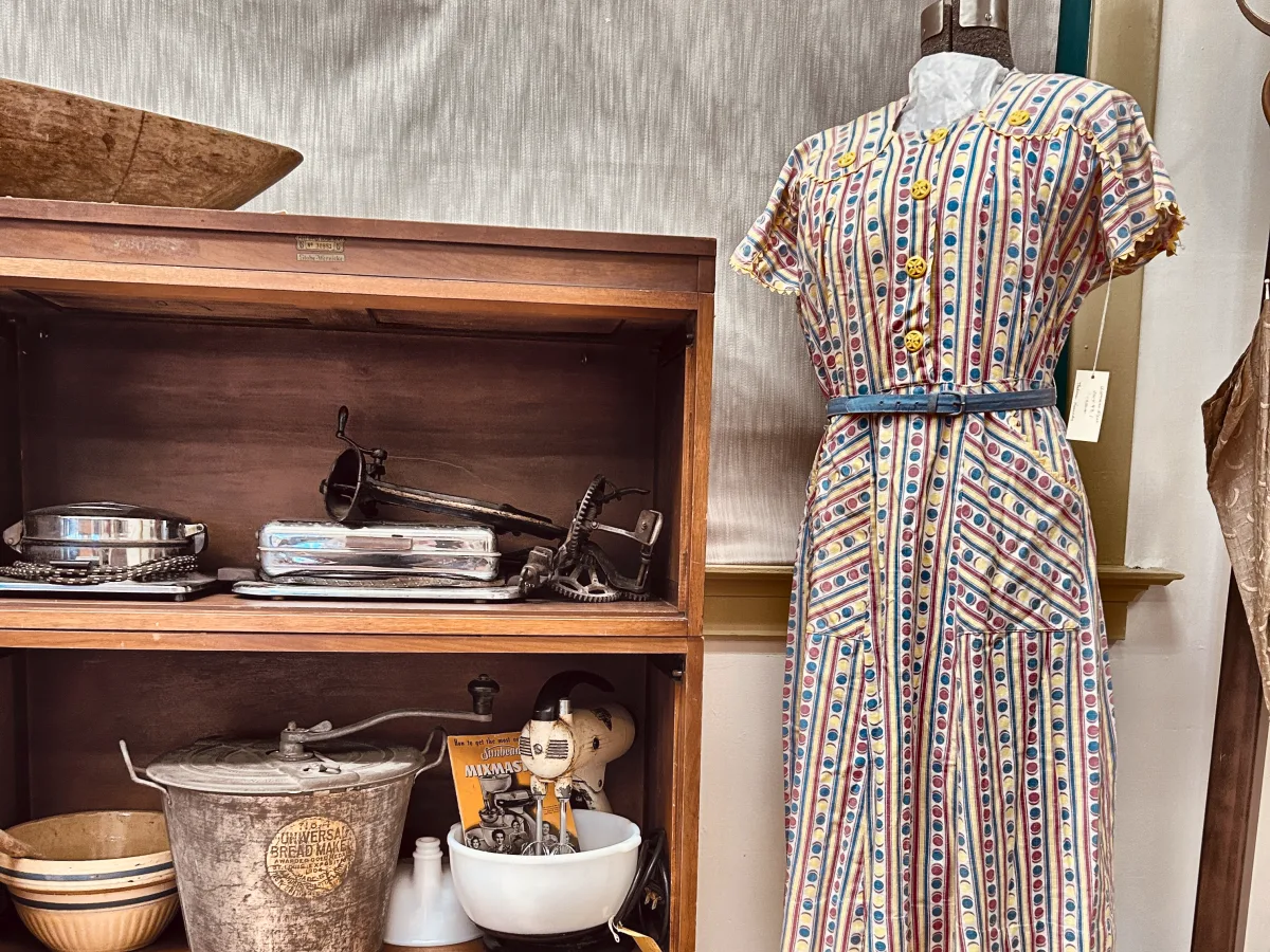 Shelves with a Universal bread maker, mixing bowls and a Sunbeam Mixmaster beside a printed cotton house dress