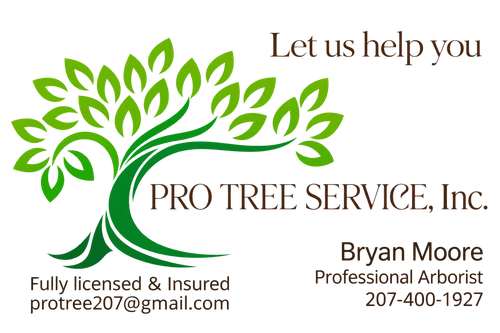 Pro Tree Service, Inc. logo